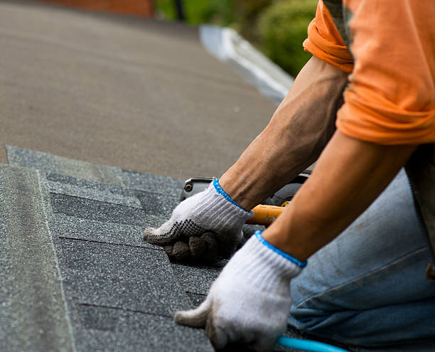 Best Shingle Roofing Installation  in Ralston, NE