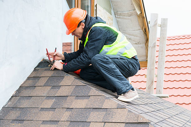 Best Commercial Roof Installation  in Ralston, NE