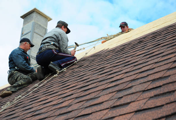 Best Emergency Roof Repair  in Ralston, NE